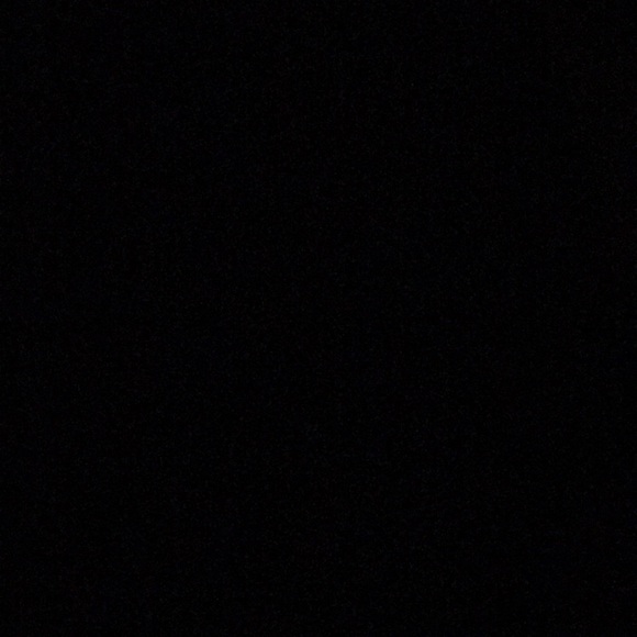 Meet your Posher, Angelica - Picture 1 of 1